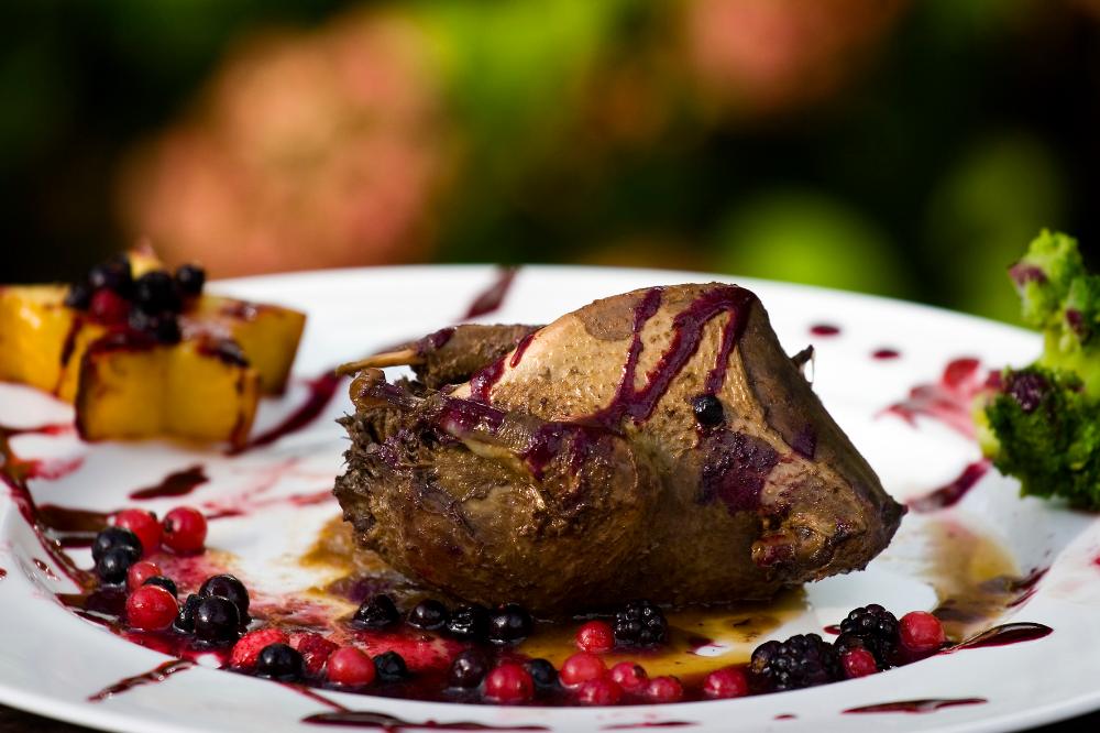 Plato con paloma cocinada